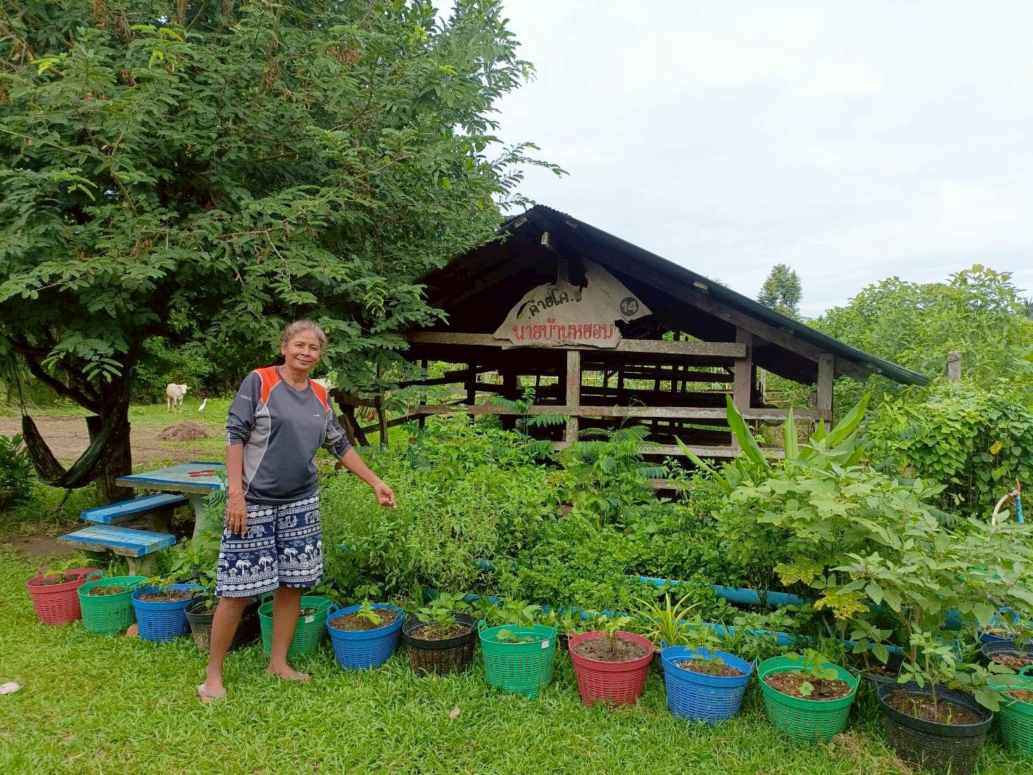 สำนักงานพัฒนาชุมชนอำเภอรัตภูมิ ส่งเสริมน้อมนำแนวพระราชดำริของ สมเด็จพระกนิษฐาธิราชเจ้า กรมสมเด็จพระเทพรัตนราชสุดาฯ สยามบรมราชกุมารี สู่การปฏิบัติจริง ผ่านกิจกรรม ปลูกผักสวนครัวเพื่อสร้างความมั่นคงทางอาหาร มุ่งส่งเสริมให้ประชาชนสามารถพึ่งพาตนเองด้านอาหารอย่างยั่งยืน ลดรายจ่ายในครัวเรือน และสร้างวิถีชีวิตที่สอดคล้องกับหลักเศรษฐกิจพอเพียง