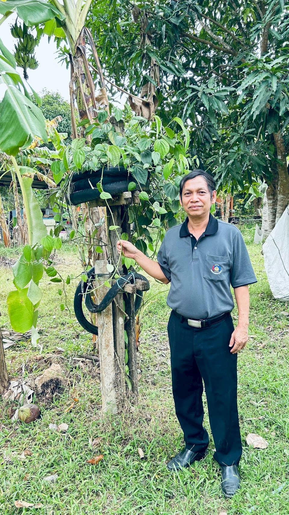 พช.รัตภูมิ ขับเคลื่อนกิจกรรมเพื่อคุณภาพชีวิตที่ดีและมีความมั่นคงทางอาหาร(GOOD & FOOD SECURITY)